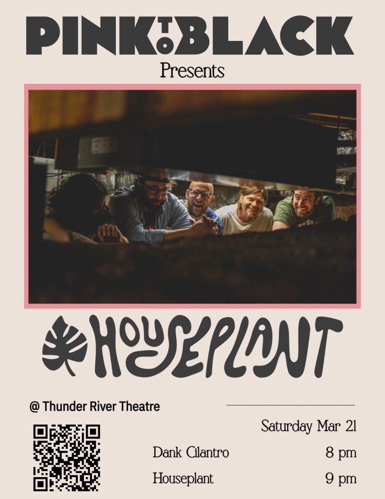 Pink to Black  Houseplant